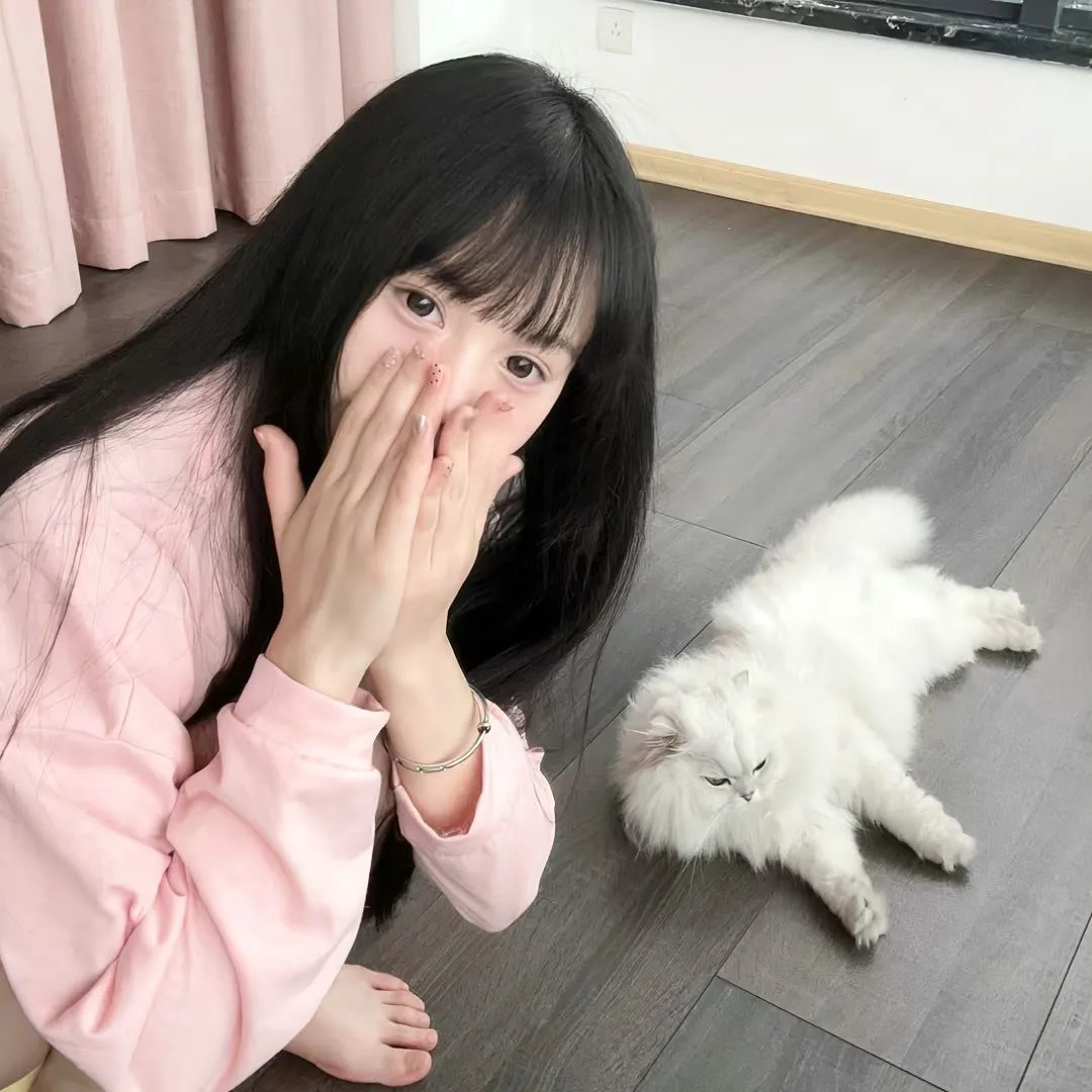 天才麻将少女：阿知贺篇 电影版